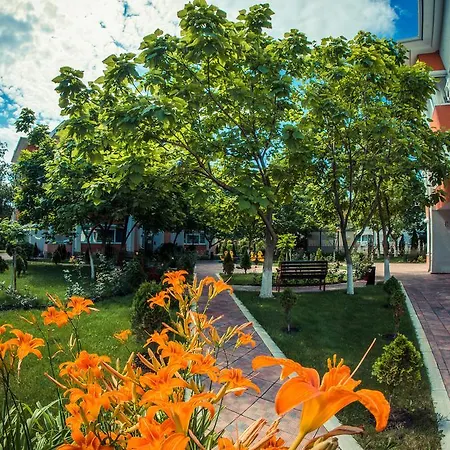 Sunny * Slăntjev Brjag