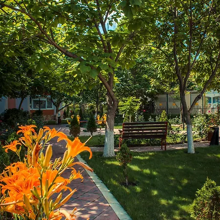 Sunny * Slăntjev Brjag